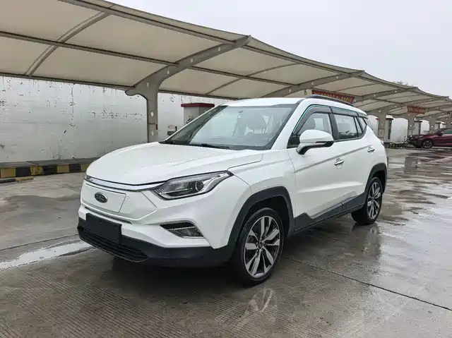 2019 JAC iEVS4