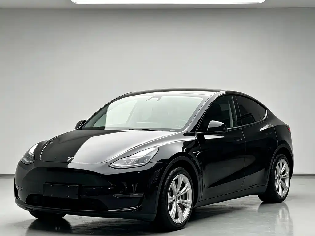 Tesla Model Y — миниатюра 3