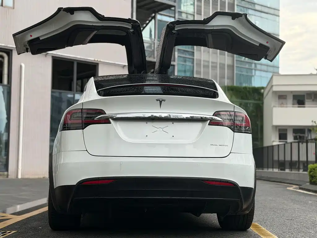 Tesla Model X — миниатюра 6