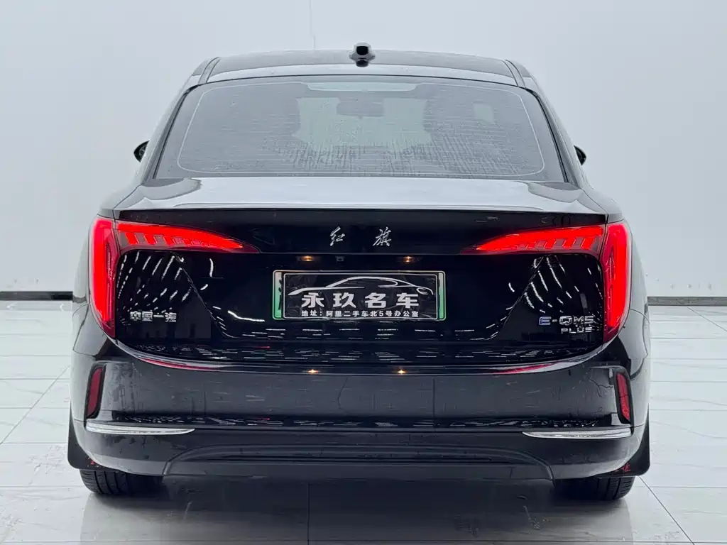 Hongqi HONGQI E QM5