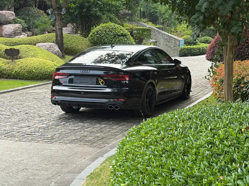 Audi S5 — миниатюра 12
