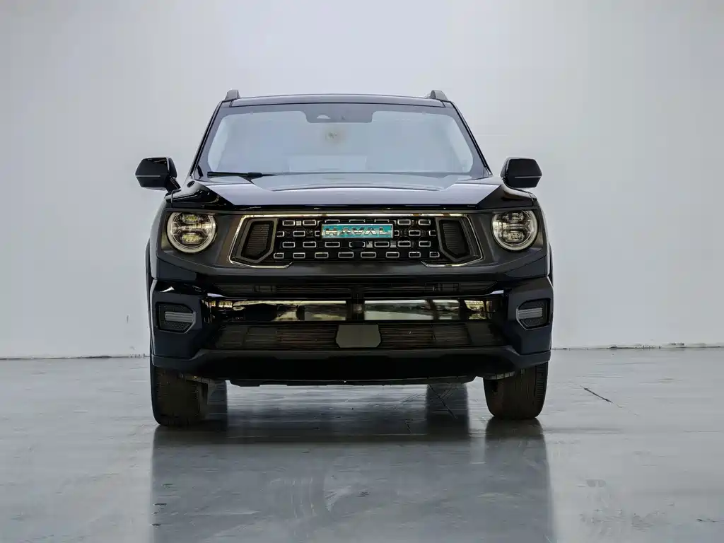 Haval Big Dog PLUS New Energy — миниатюра 2