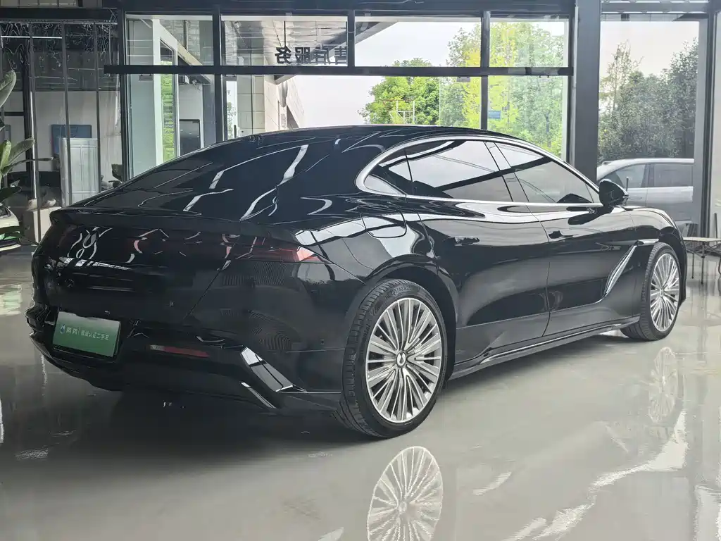 Denza Denza Z9 — миниатюра 12