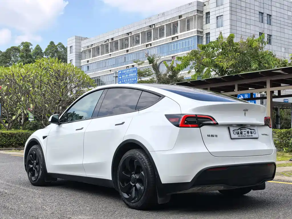 Tesla Model Y — миниатюра 8