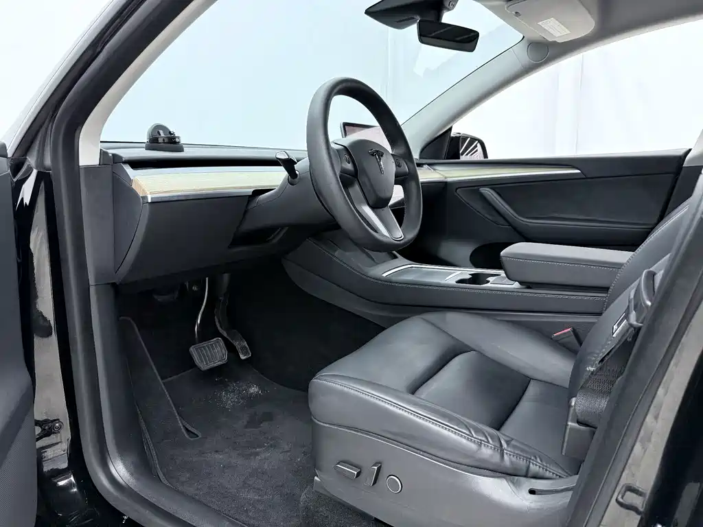 Tesla Model Y — миниатюра 4