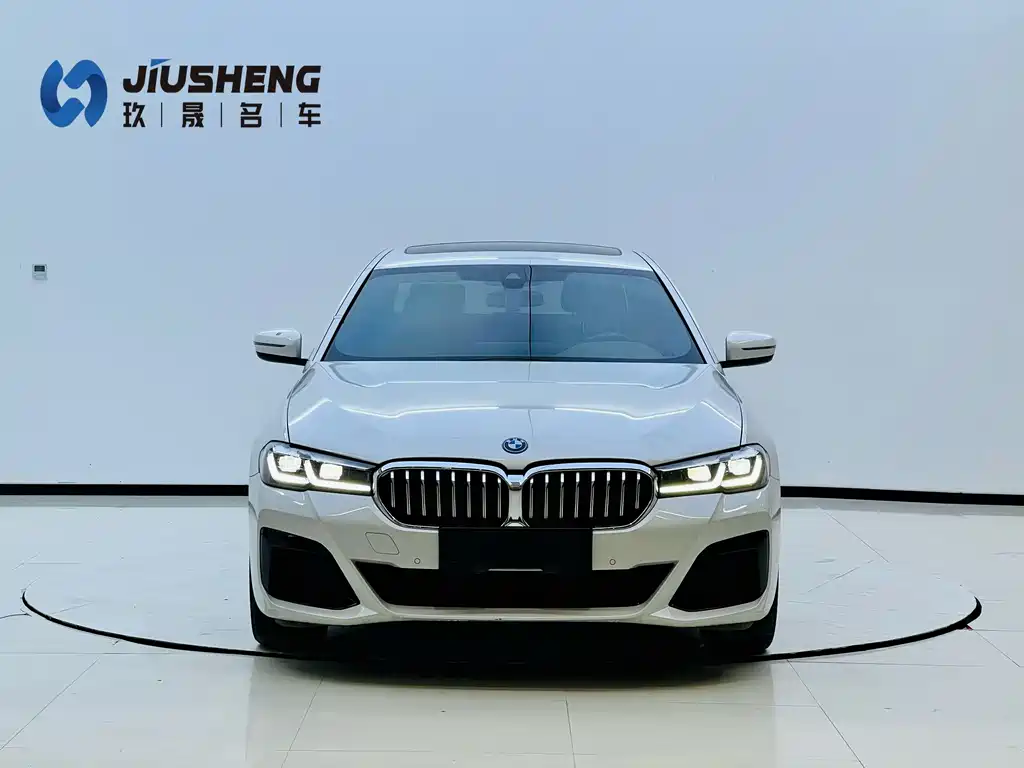 BMW  5 SERIES NEW ENERGY