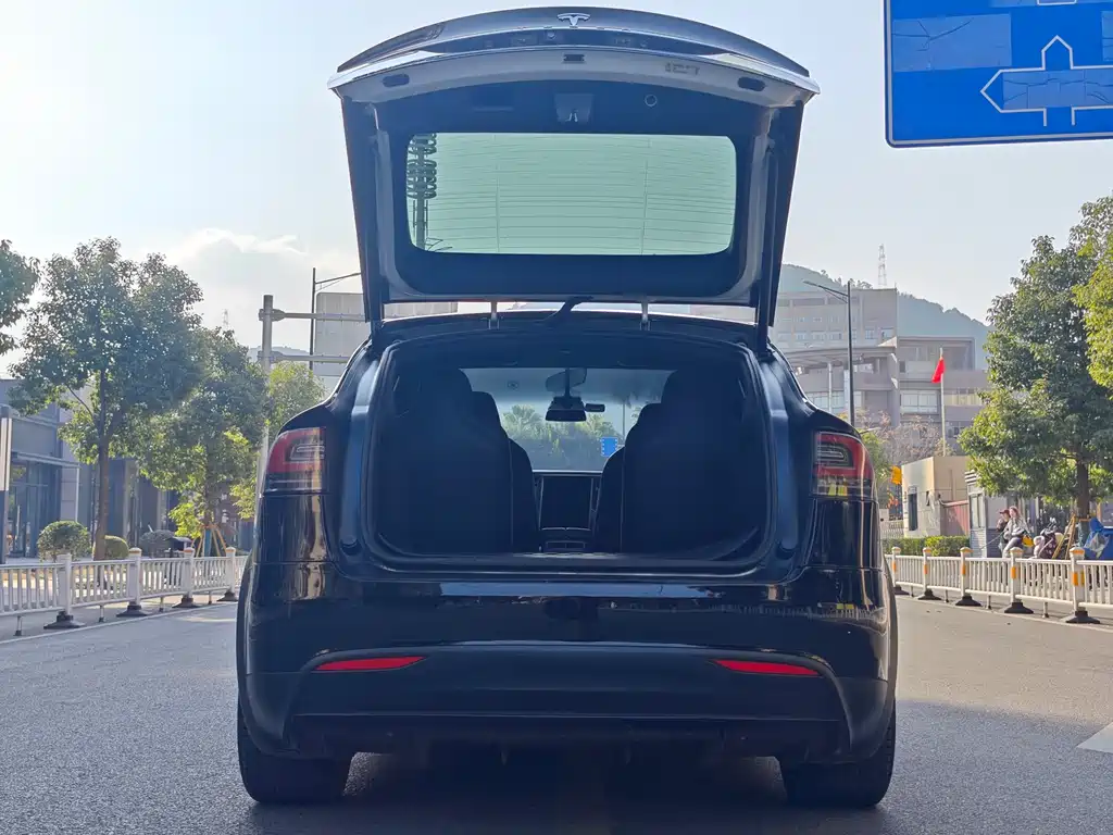 TESLA MODEL X