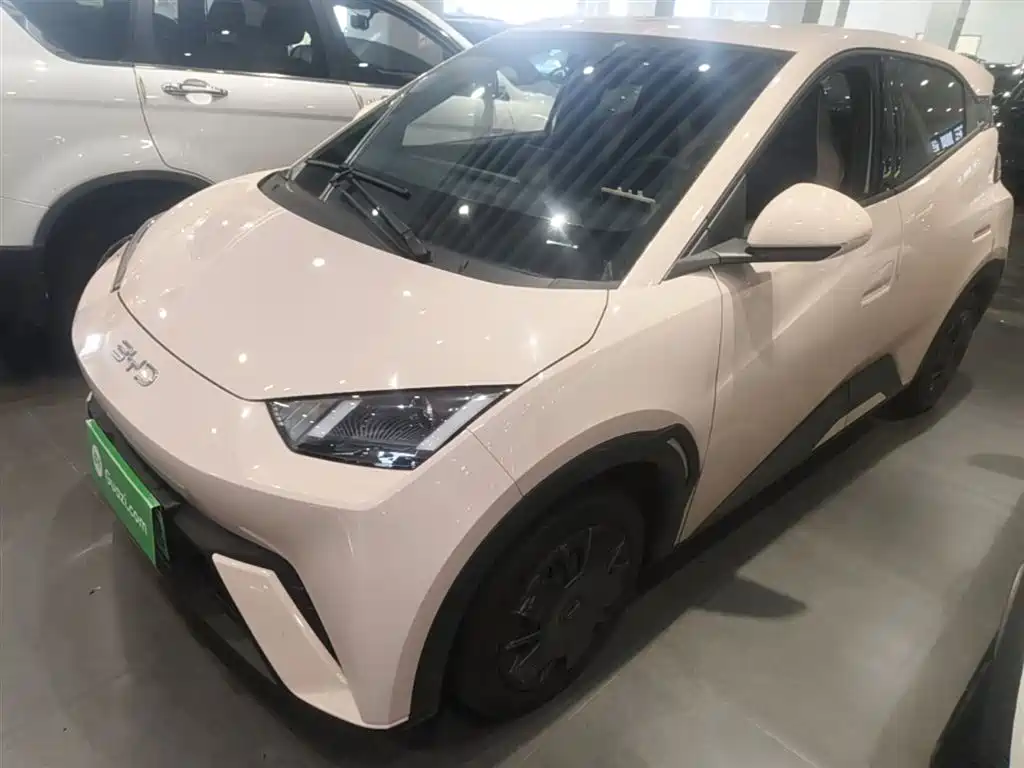Byd Seagull 2024
