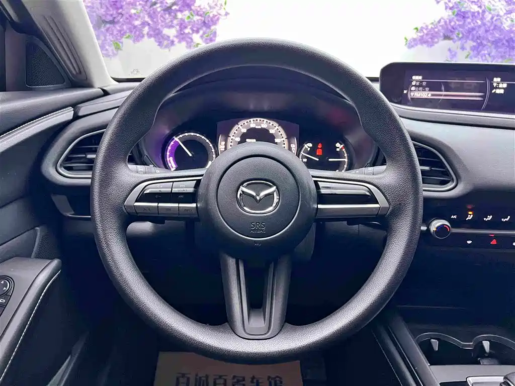 Mazda CX-30 EV — миниатюра 14