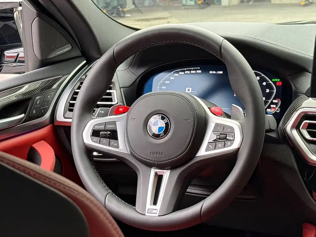 BMW X4 M — миниатюра 14