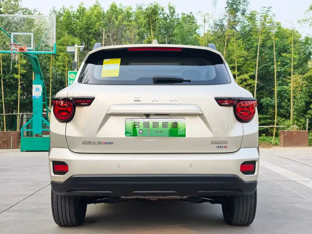 Haval Big Dog PLUS New Energy — миниатюра 7