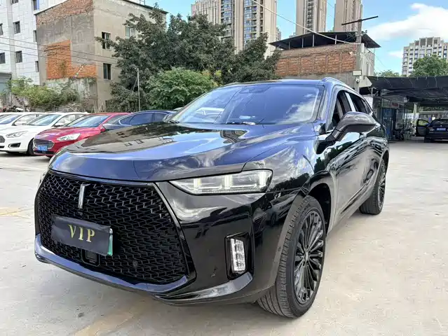 2018 Wey P8
