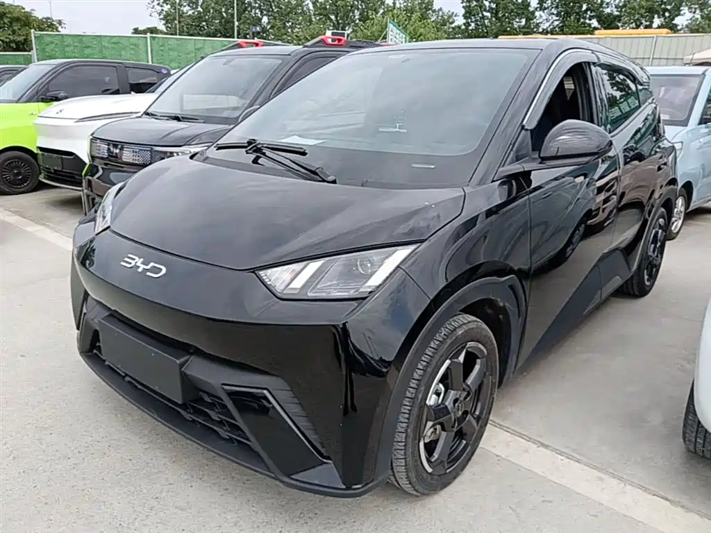 Byd Seagull 2023