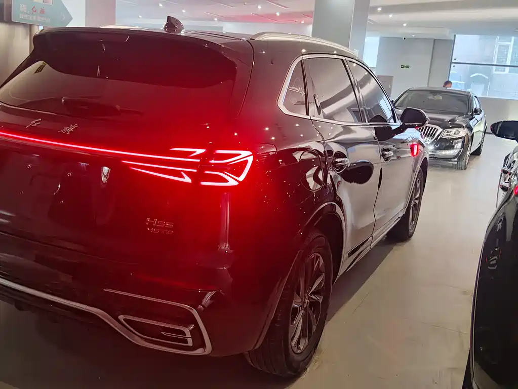 Hongqi HONGQI HS5