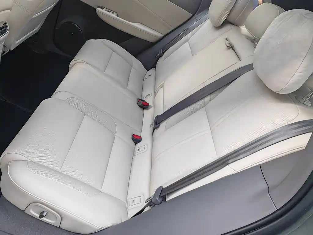 Hongqi HS6 PHEV 240 Smart Hybrid Edition, фото 15