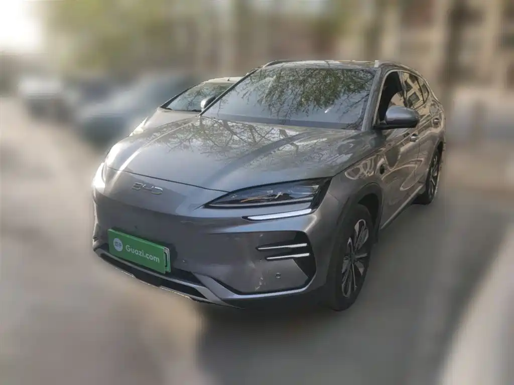 Byd PLUS New Energy 2025