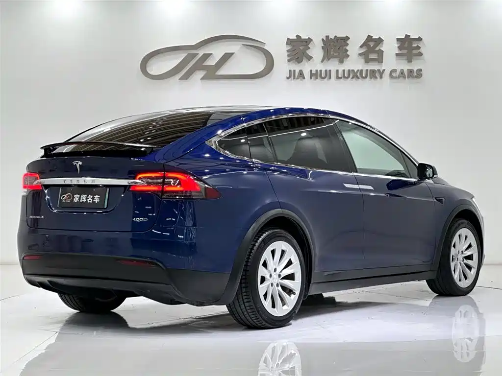 Tesla Model X 2017 Model X 100D