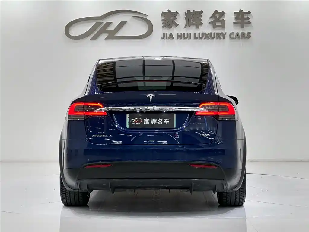 Tesla Model X 2017 Model X 100D