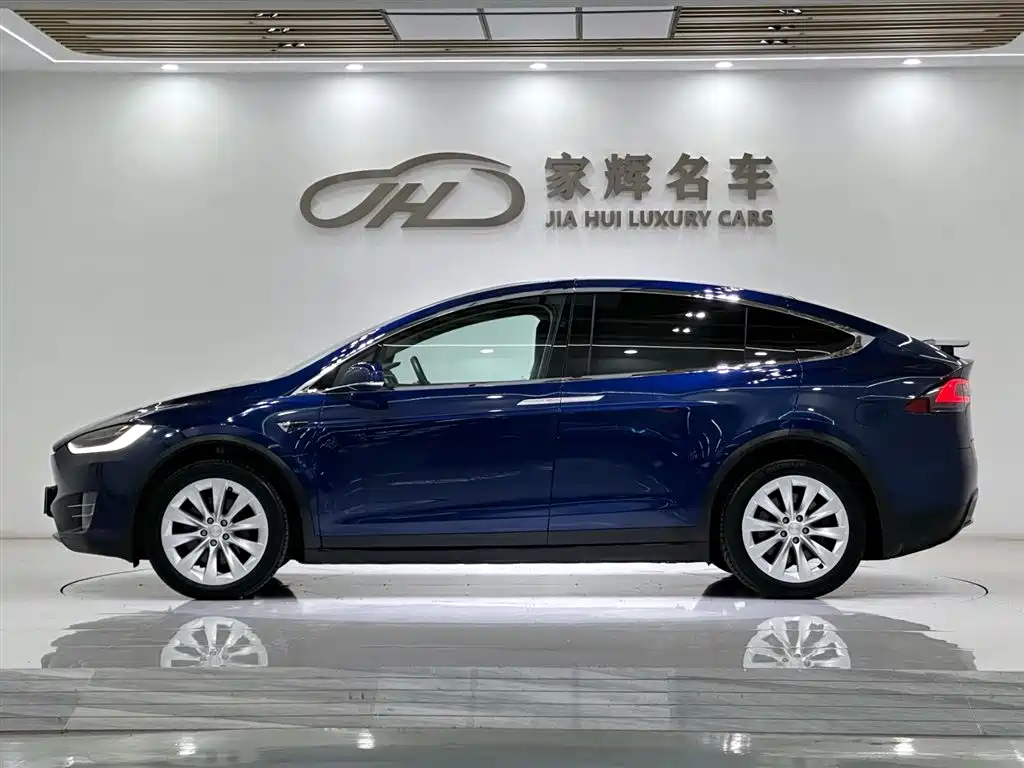 Tesla Model X 2017 Model X 100D