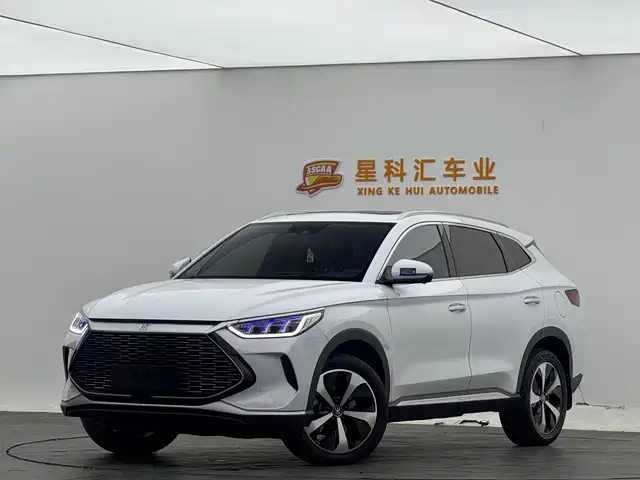 BYD SONGJIANG NEW ENERGY 2022