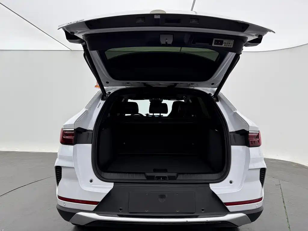 BYD SONGJIANG NEW ENERGY