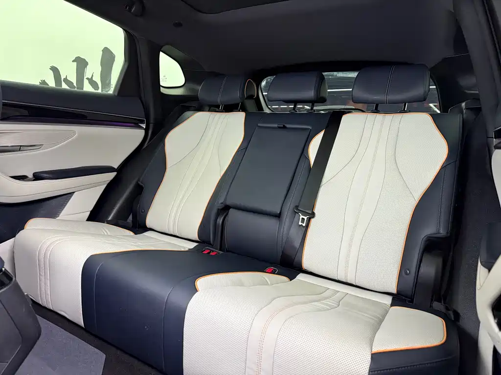 BYD SONGJIANG NEW ENERGY