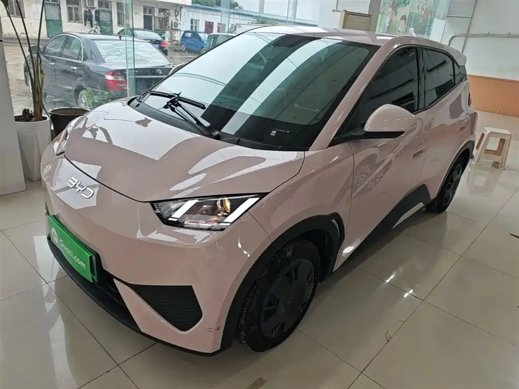 Byd Seagull 2025