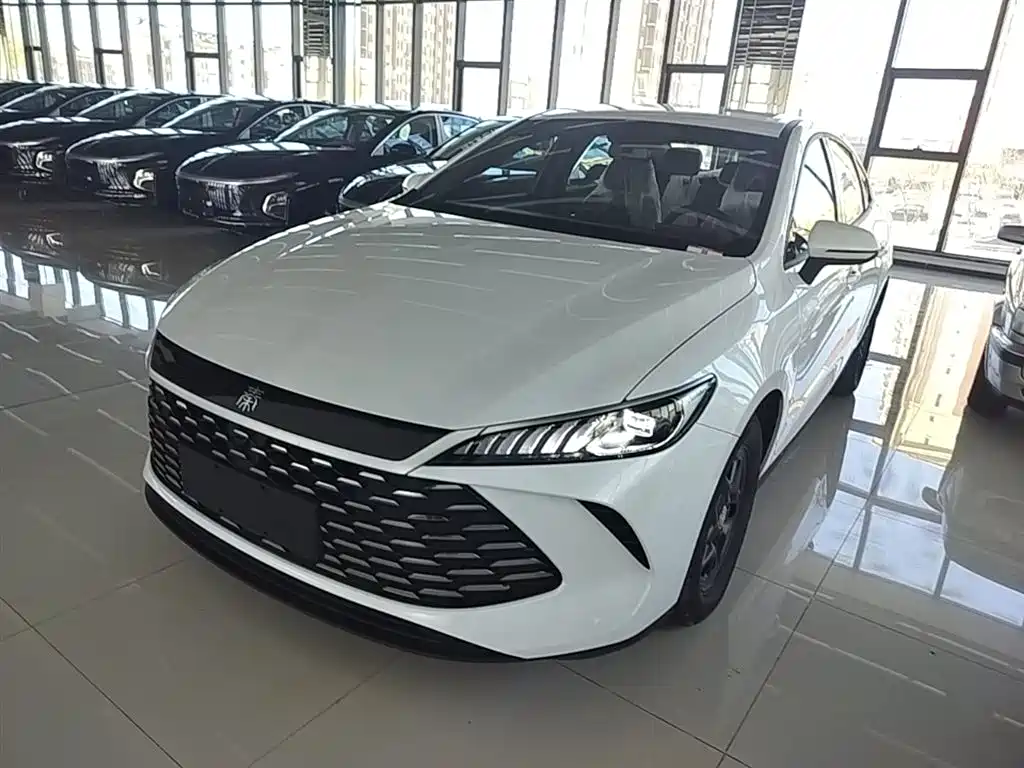Byd Qin PLUS 2025