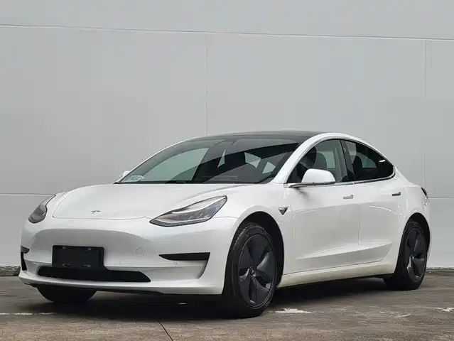TESLA MODEL 3 2020
