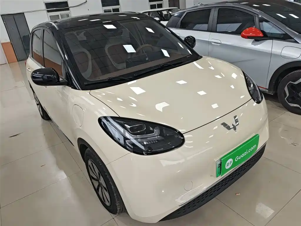 Wuling Binguo 2025 333km