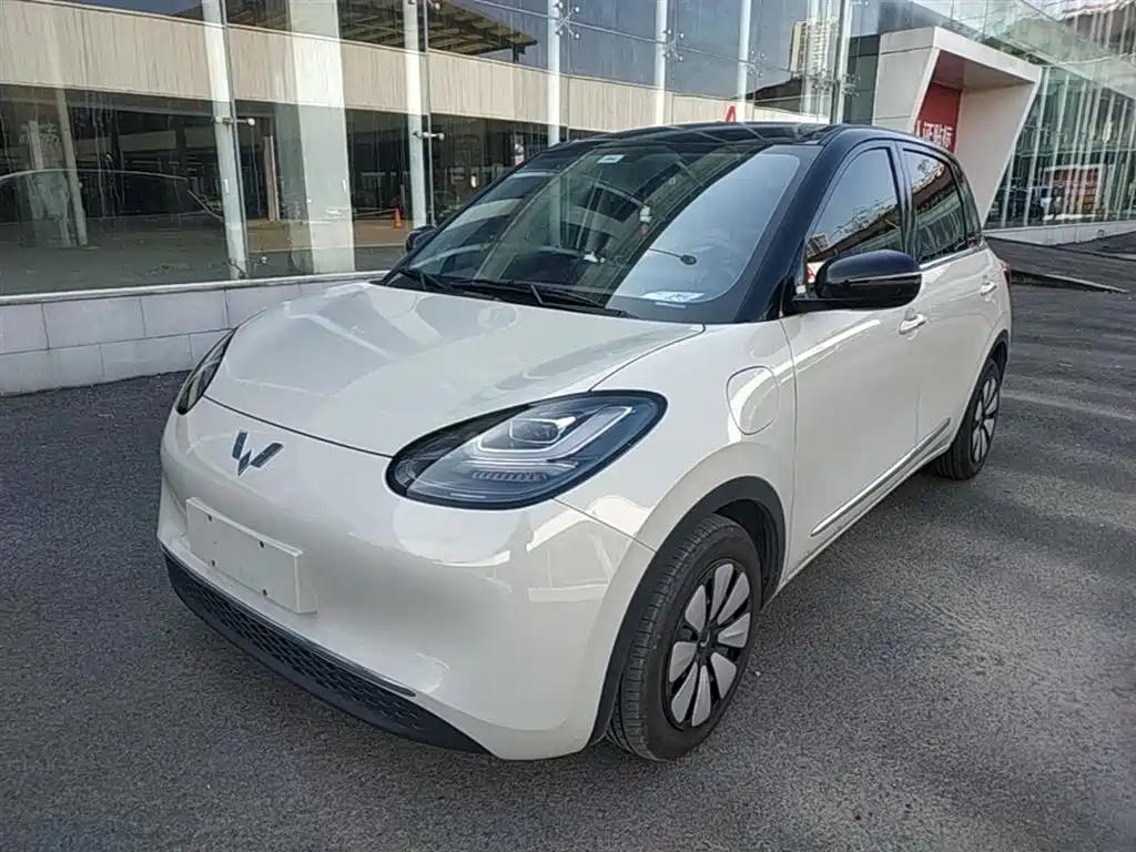 Wuling Bingo 2024