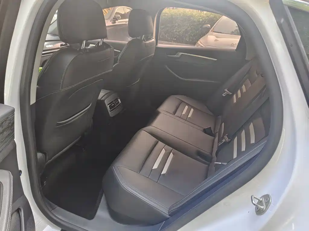 BYD Qin Pro NEV — миниатюра 8