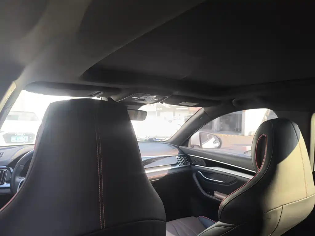 BYD PLUS — миниатюра 9