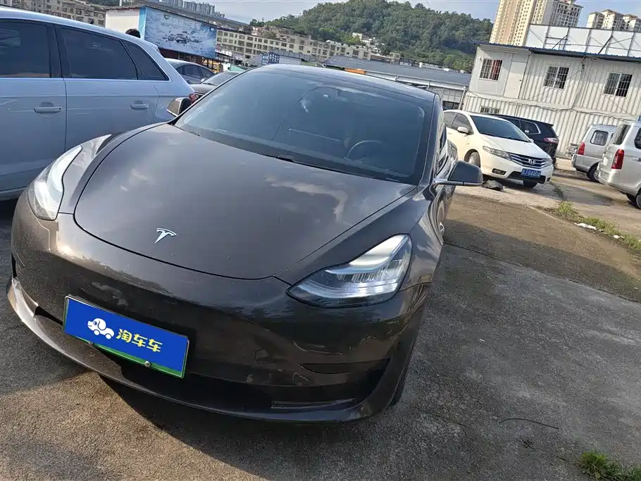 Tesla Model 3 2021
