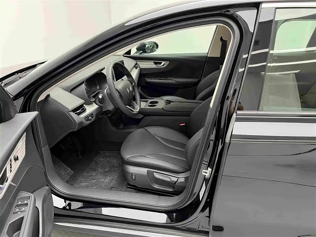 Hongqi Hongqi E-QM5 - фото 14