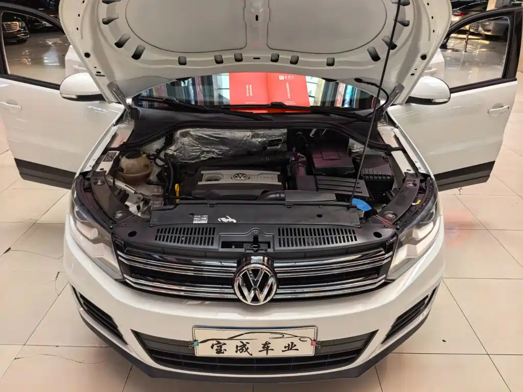 Volkswagen Tiguan 300TSI Auto 2WD Silk Road Elegant Edition, фото 17