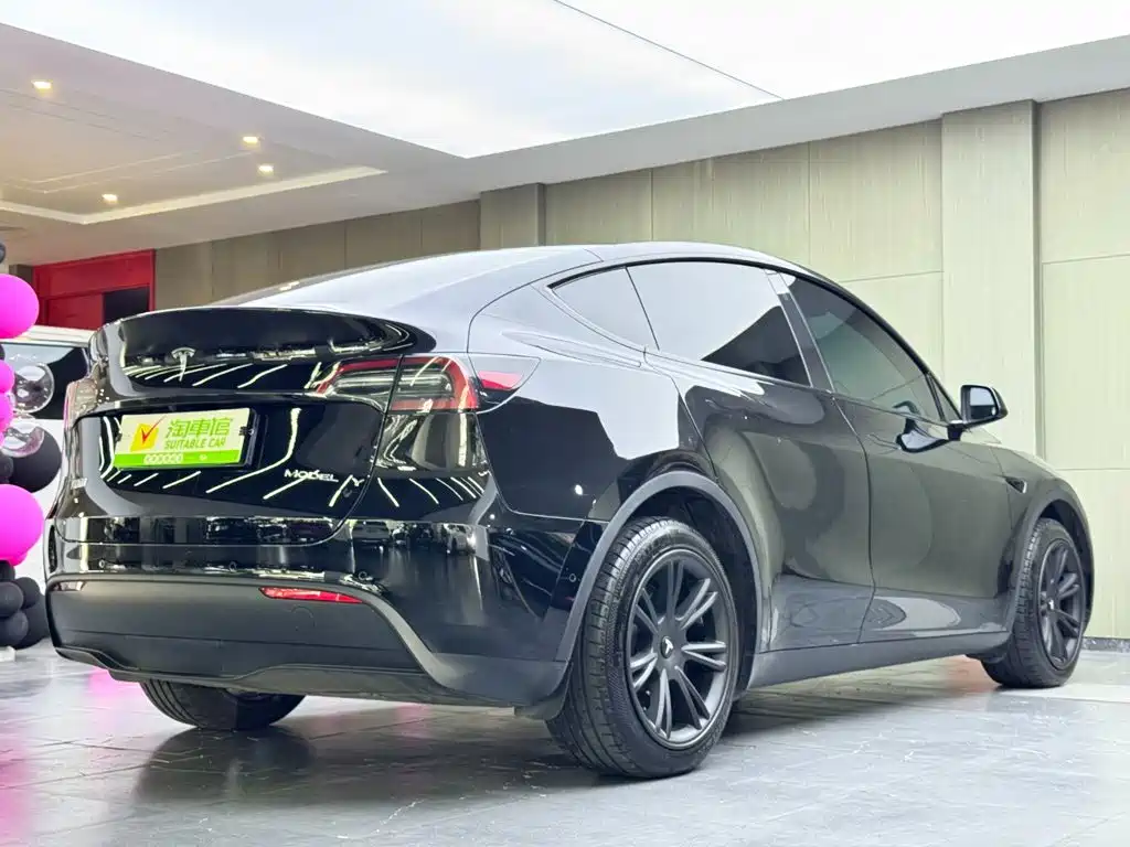 Tesla Model Y — миниатюра 4