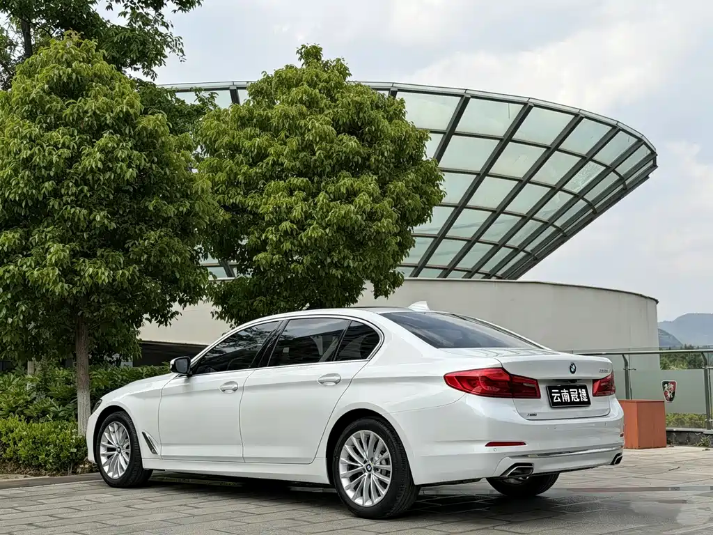BMW 5 Series 5 2020 530Li xDrive Luxury