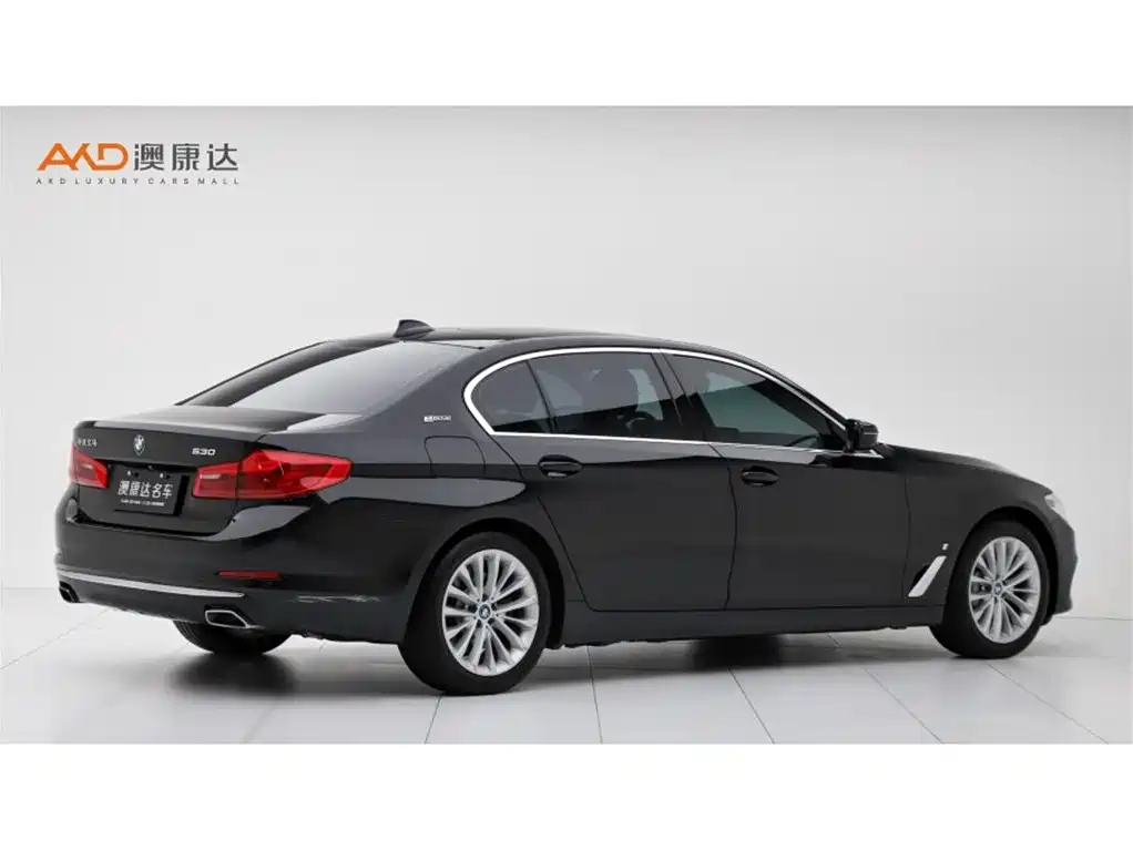 BMW 5 Series New Energy — миниатюра 3