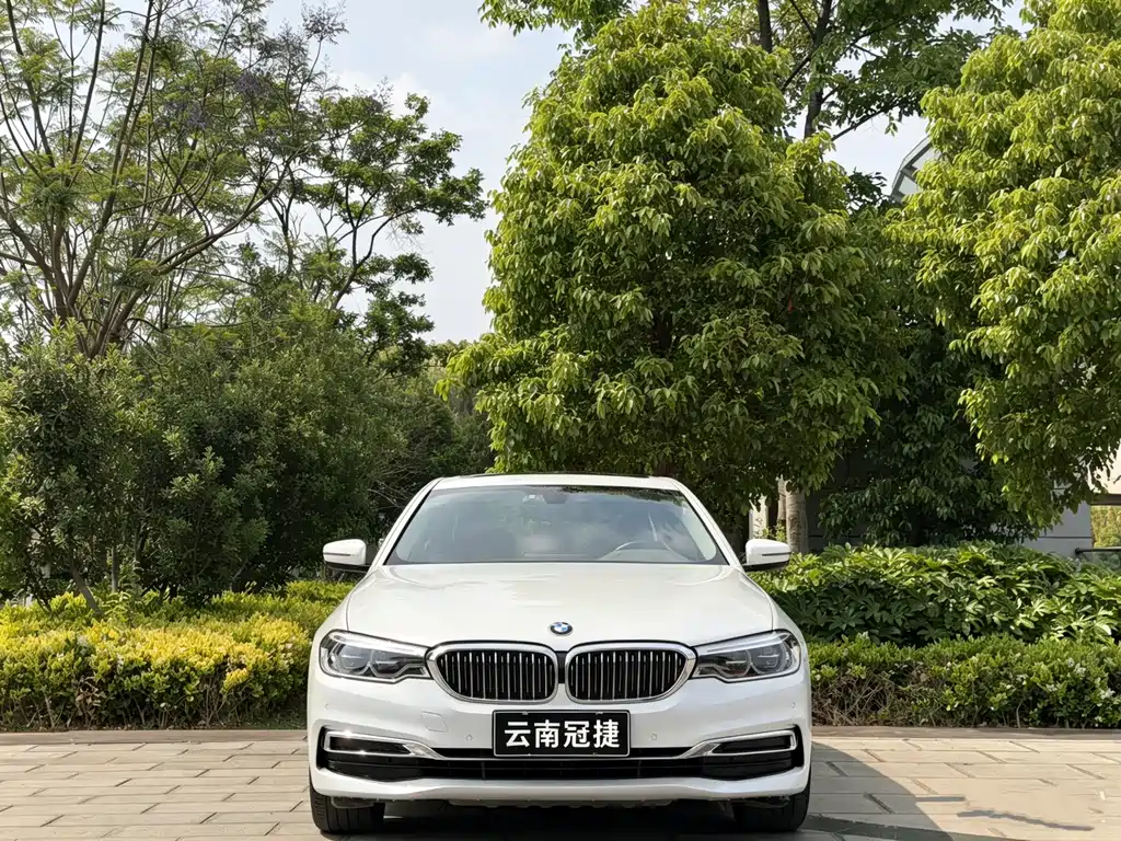 BMW 5 Series 5 2020 530Li xDrive Luxury