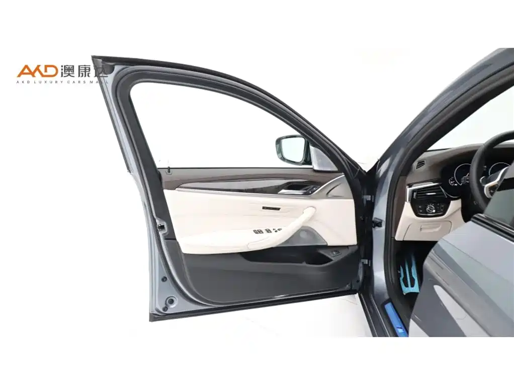 BMW 5 Series (Import) — миниатюра 10