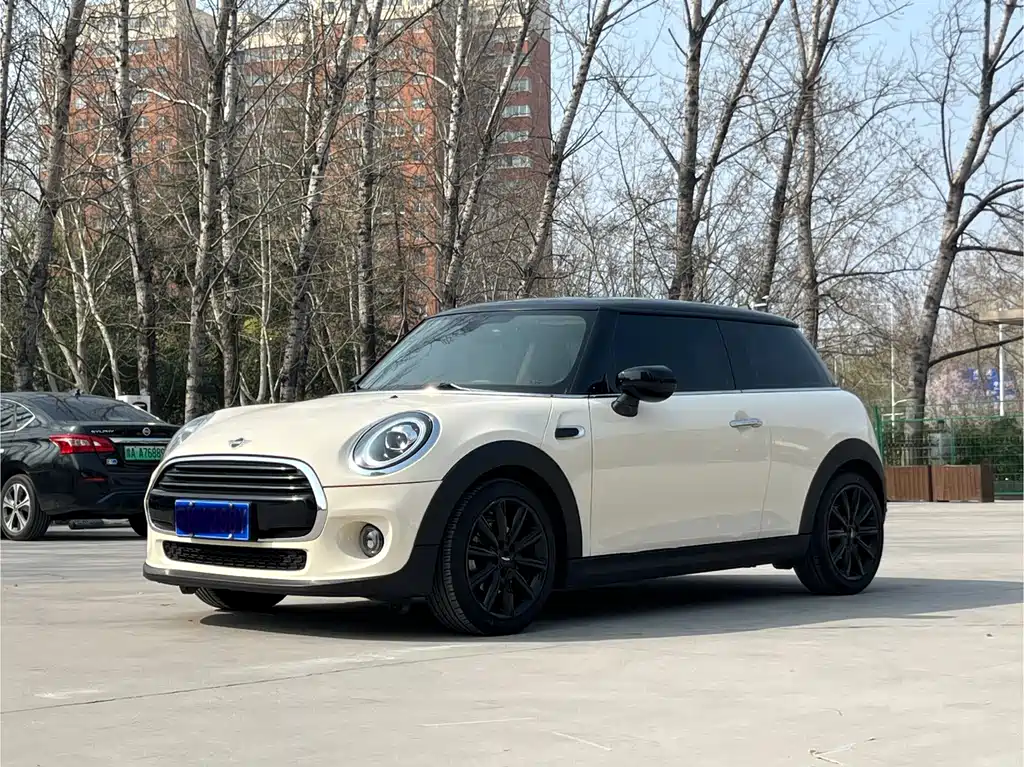 Mini Mini 2020