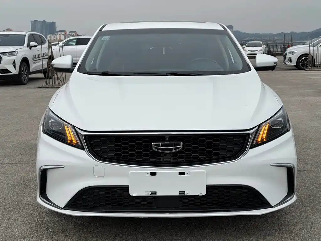 Geely Binrui — миниатюра 2