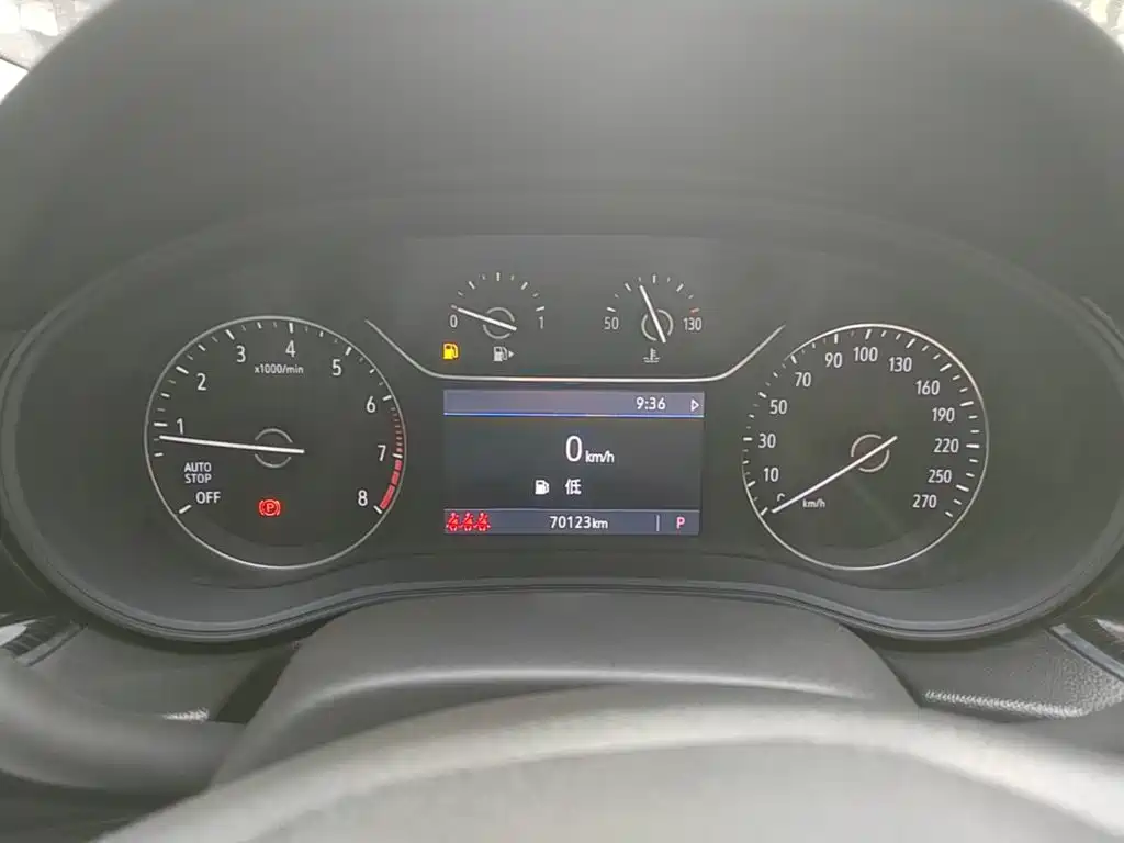 Buick Regal — миниатюра 12