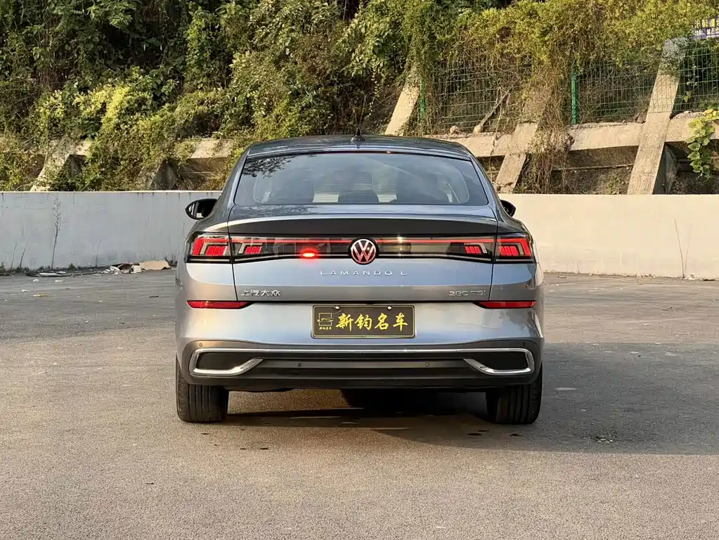 Volkswagen Lamando — миниатюра 16
