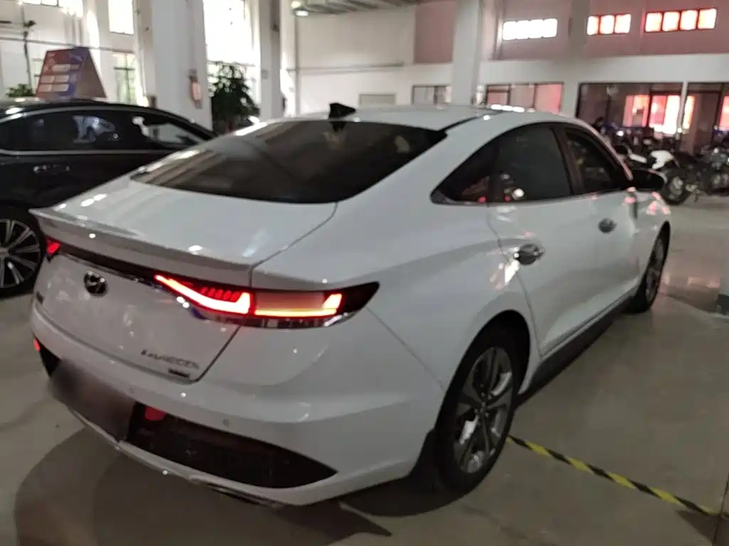 Hyundai Fista — миниатюра 5