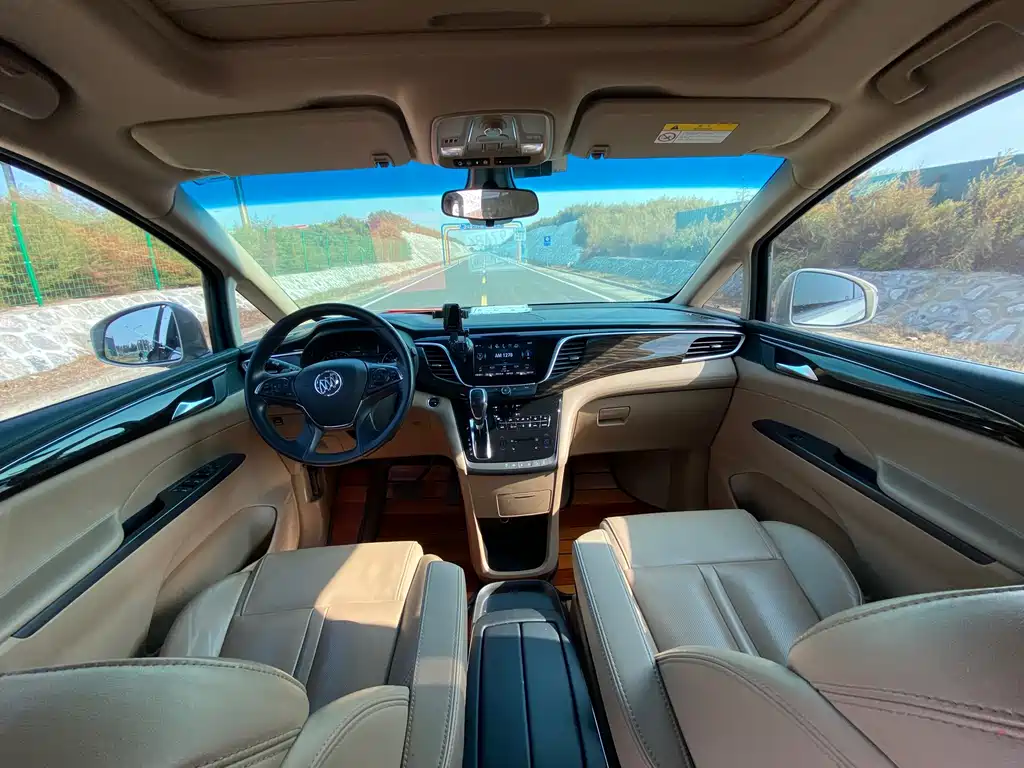 Buick GL8 — миниатюра 10