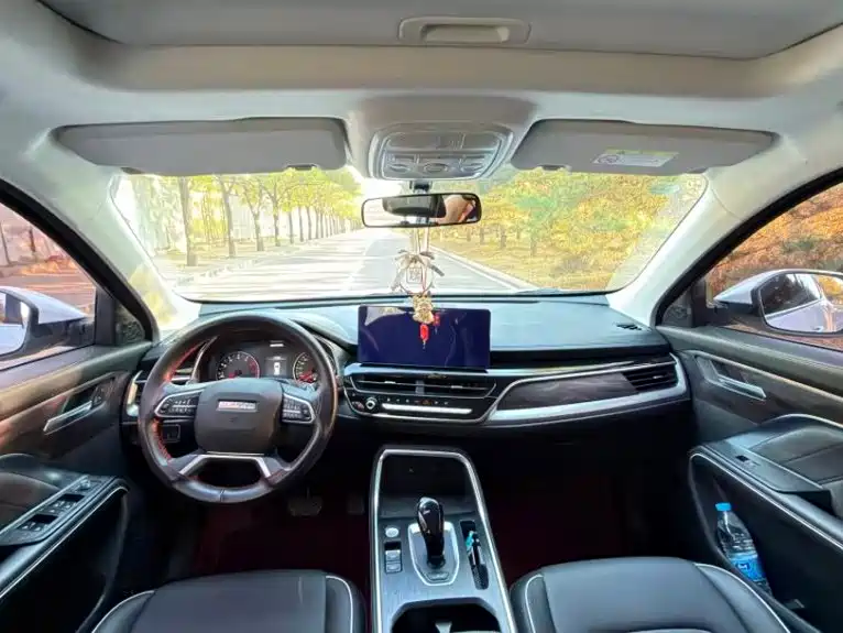 Haval H6 — миниатюра 5