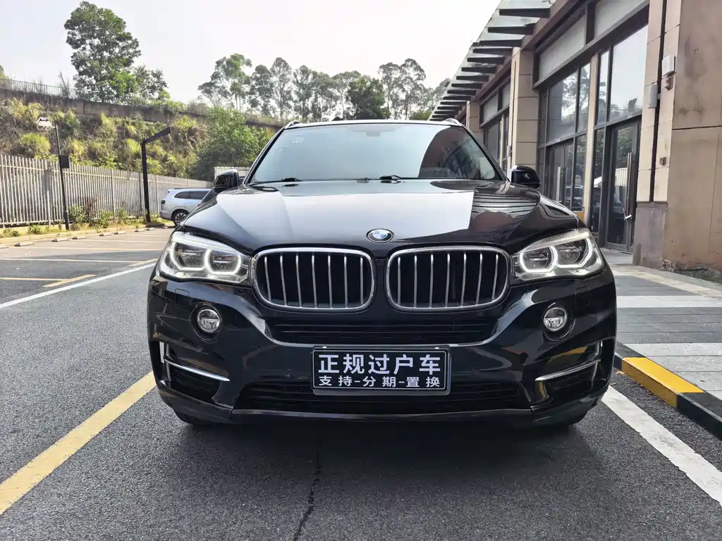 BMW X5 (Import) — миниатюра 2