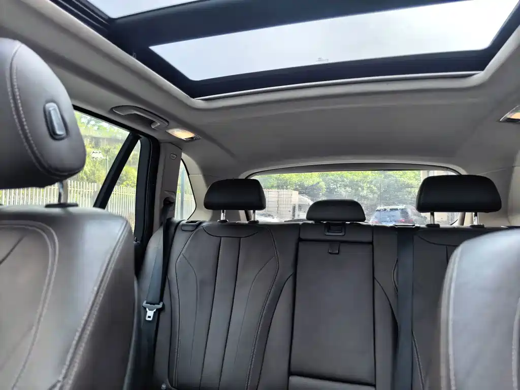 BMW X5 (Import) — миниатюра 10